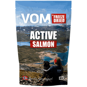 Freeze Dried ACTIVE Salmon 90 gram pose