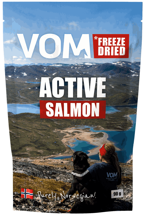 Freeze Dried ACTIVE Salmon 90 gram pose